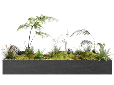 现代花坛植被 石头盆景盆栽植物3d模型 现代花坛植被 石头盆景盆栽植物