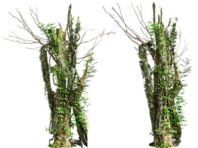 现代枯树 藤蔓植物3d模型 现代枯树 藤蔓植物