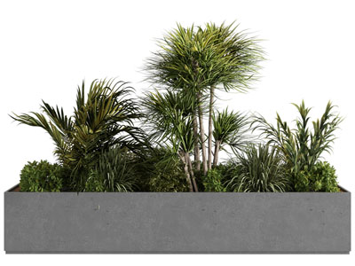 现代花坛花草植物盆景盆栽植物3d模型 现代花坛花草植物盆景盆栽植物