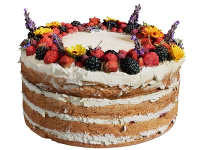 现代奶油水果蛋糕 食物