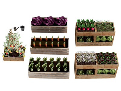 现代阳台小菜园 盆景盆栽植物3d模型 现代阳台小菜园 盆景盆栽植物