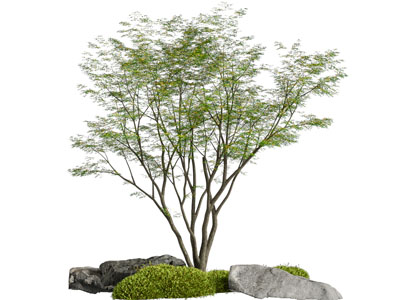 现代石头 树木景观园艺小品