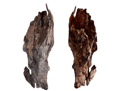 侘寂风木头 木块 枯木 腐朽的木材