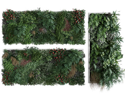 现代植物装饰挂画 植物墙3d模型 现代植物装饰挂画 植物墙