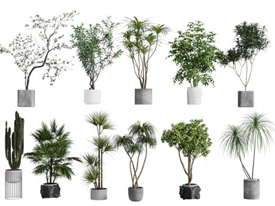 现代花盆盆景盆栽植物3d模型 现代花盆盆景盆栽植物