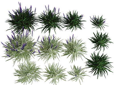 现代花草花卉植物3d模型 现代花草花卉植物