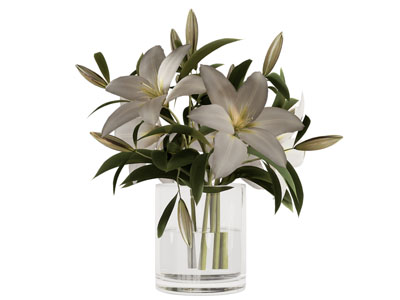 现代玻璃花瓶 百合花花卉3d模型 现代玻璃花瓶 百合花花卉