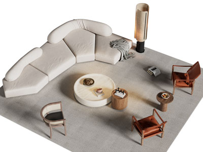 现代异形沙发 休闲椅子和茶几组合