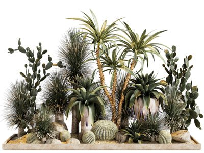 侘寂风花坛多肉 花卉植物景观园艺小品