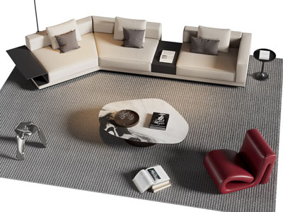 现代异形多人沙发 休闲椅子和茶几组合