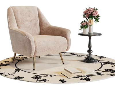 法式轻奢休闲椅子 边几