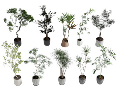 现代花盆盆景盆栽植物3d模型 现代花盆盆景盆栽植物