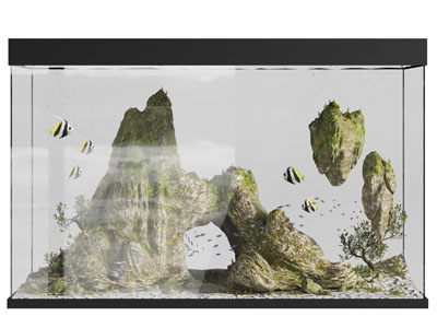 现代玻璃鱼缸水族3d模型 现代玻璃鱼缸水族