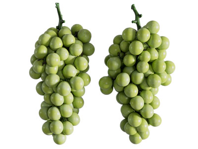 现代葡萄 水果食物