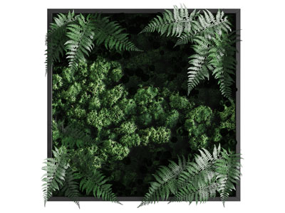现代植物装饰挂画 植物墙3d模型 现代植物装饰挂画 植物墙