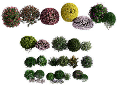 现代景观灌木球 灌木丛植物3d模型 现代景观灌木球 灌木丛植物