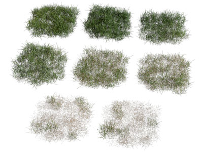现代花草 草坪 草地植物3d模型 现代花草 草坪 草地植物