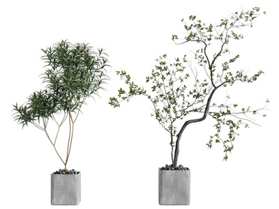 现代水泥花盆盆景盆栽植物3d模型 现代水泥花盆盆景盆栽植物