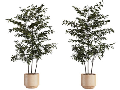现代花盆竹子盆景盆栽植物3d模型 现代花盆竹子盆景盆栽植物