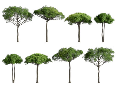 现代景观树木3d模型 现代景观树木