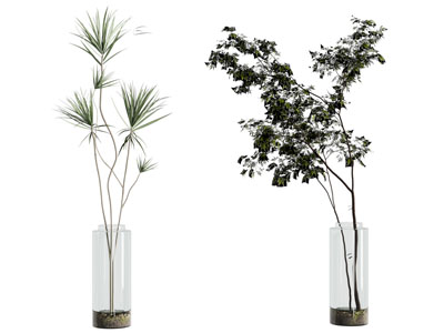 现代玻璃花瓶花卉3d模型 现代玻璃花瓶花卉