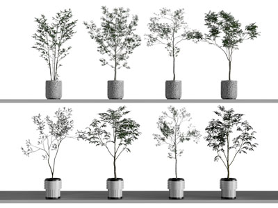 现代花盆树木盆景盆栽植物3d模型 现代花盆树木盆景盆栽植物