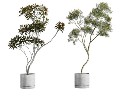 现代水泥花盆盆景盆栽植物3d模型 现代水泥花盆盆景盆栽植物