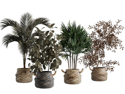 现代编织花盆 盆景盆栽植物3d模型 现代编织花盆 盆景盆栽植物