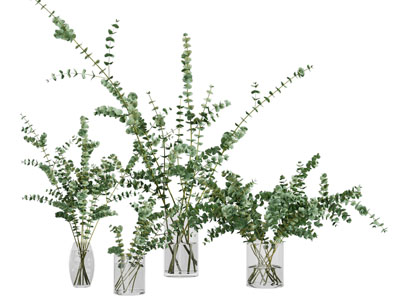 现代玻璃花瓶花卉3d模型 现代玻璃花瓶花卉