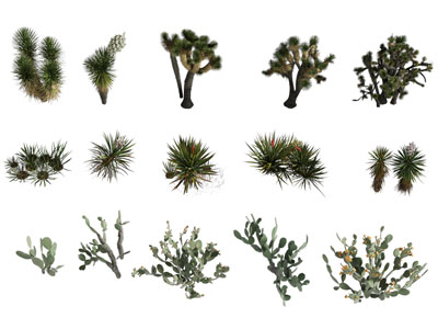 现代仙人掌 多肉 花草植物3d模型 现代仙人掌 多肉 花草植物