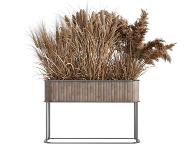 侘寂风花箱枯草盆景盆栽3d模型 侘寂风花箱枯草盆景盆栽