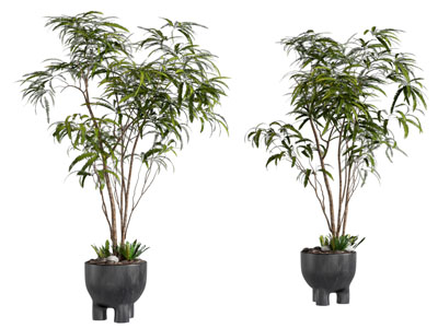 现代花盆盆景盆栽植物3d模型 现代花盆盆景盆栽植物