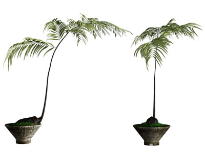 新中式盆景盆栽植物3d模型 新中式盆景盆栽植物