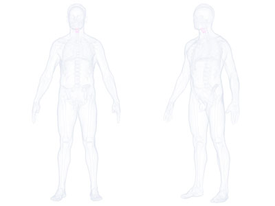 现代人体构造 医疗器械3d模型 现代人体构造 医疗器械