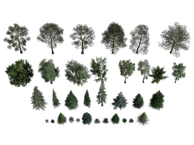 现代景观树木 灌木植物3d模型 现代景观树木 灌木植物