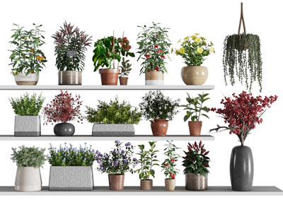 现代花盆盆景盆栽植物3d模型 现代花盆盆景盆栽植物