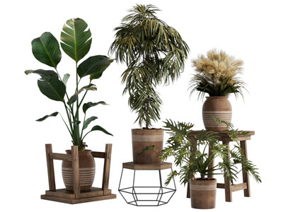 侘寂风陶艺花盆盆景盆栽植物3d模型 侘寂风陶艺花盆盆景盆栽植物