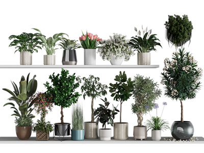 现代花盆盆景盆栽植物3d模型 现代花盆盆景盆栽植物