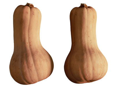 现代南瓜 水果蔬菜