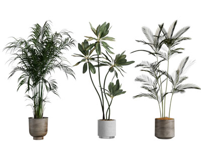 现代花盆盆景盆栽植物3d模型 现代花盆盆景盆栽植物