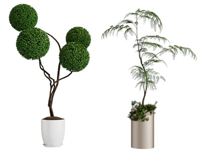 现代花盆盆景盆栽植物3d模型 现代花盆盆景盆栽植物