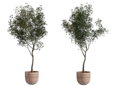 北欧编织花盆盆景盆栽植物3d模型 北欧编织花盆盆景盆栽植物