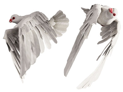 现代飞翔的鸽子 飞行动物3d模型 现代飞翔的鸽子 飞行动物