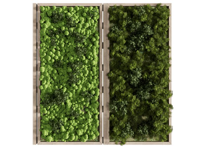 现代植物装饰挂画 植物墙3d模型 现代植物装饰挂画 植物墙
