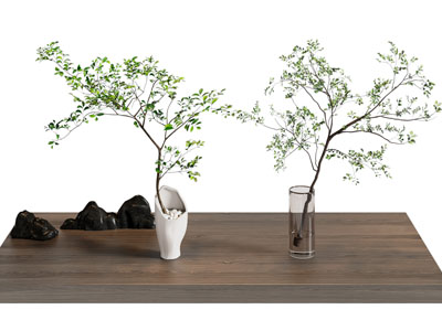 现代玻璃花瓶花卉3d模型 现代玻璃花瓶花卉