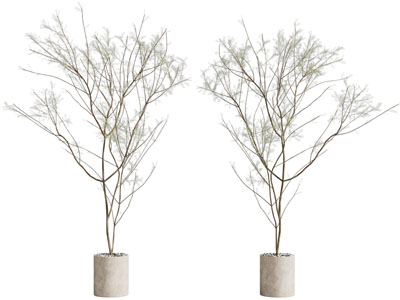 现代花盆树木盆景盆栽植物3d模型 现代花盆树木盆景盆栽植物