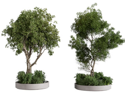 现代户外树池景观树木 园艺小品