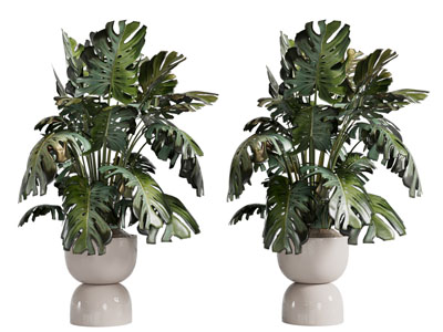 现代花盆盆景盆栽植物3d模型 现代花盆盆景盆栽植物