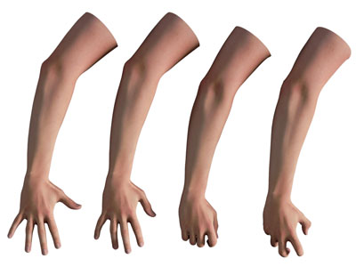 现代男人的手臂 手掌3d模型 现代男人的手臂 手掌