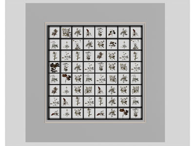 现代植物标本展示展览墙3d模型 现代植物标本展示展览墙